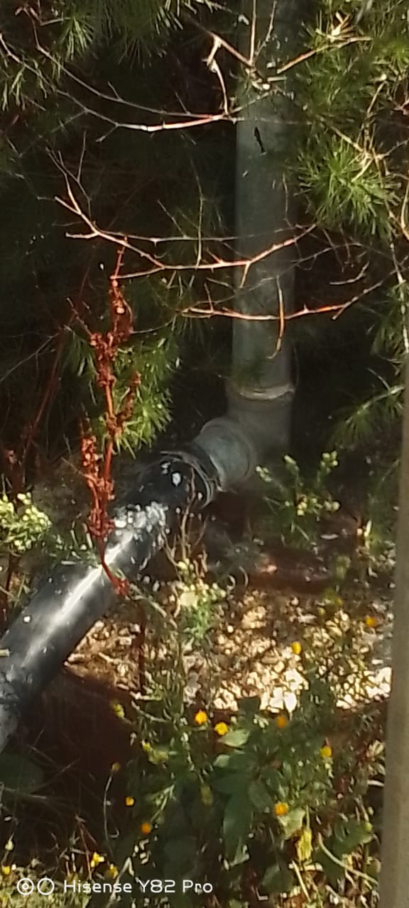 Commercial Property for Sale in Koppies Free State